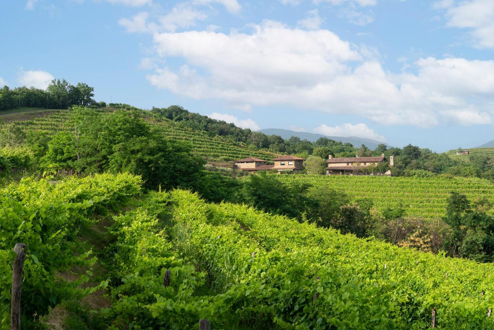Lis Fadis Wine Relais Villa Cividale Del Friuli Bagian luar foto